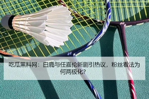 吃瓜黑料网：白鹿与任嘉伦新剧引热议，粉丝看法为何两极化？